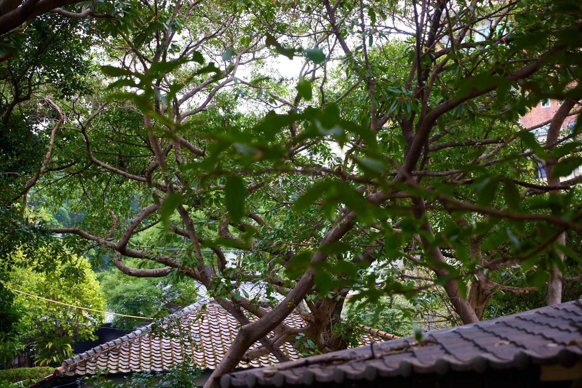 Kyokusui Hotspring Hotel Taipei Luaran gambar
